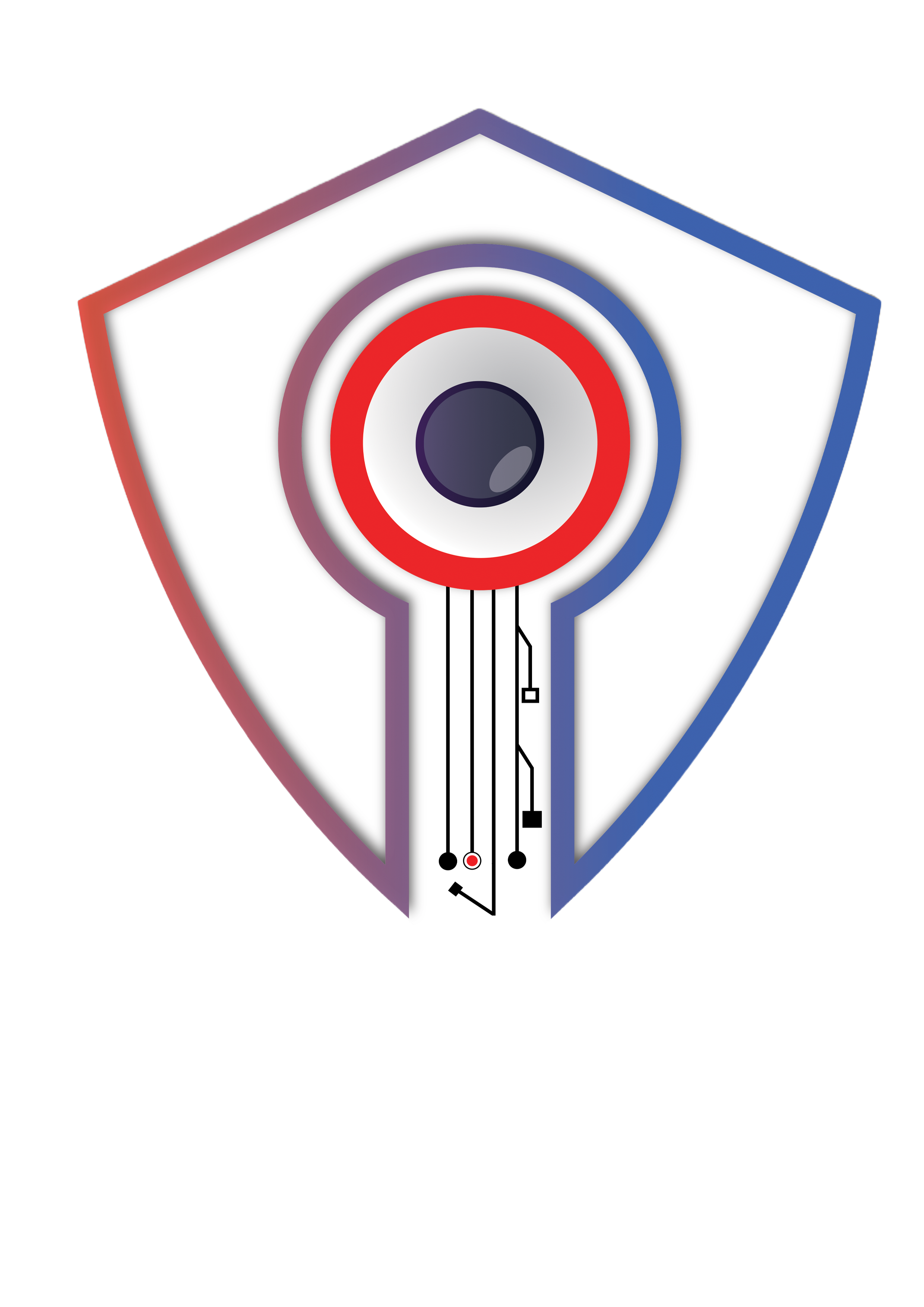 INSA Logo